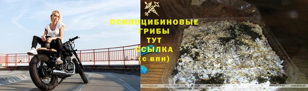 шишки Снежногорск