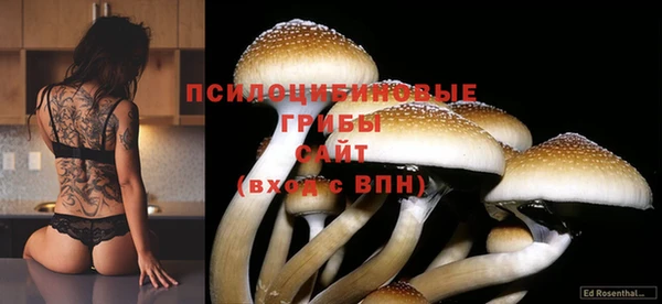 дживик Сосновый Бор