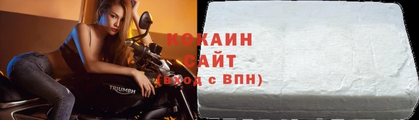 шишки Снежногорск