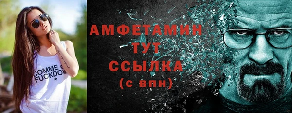 шишки Снежногорск