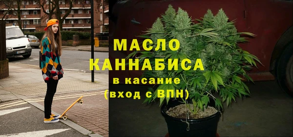 шишки Снежногорск