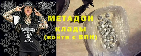 дживик Сосновый Бор