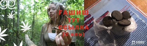 дживик Сосновый Бор