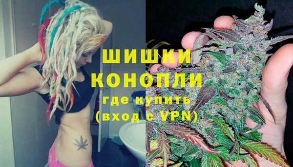 шишки Снежногорск