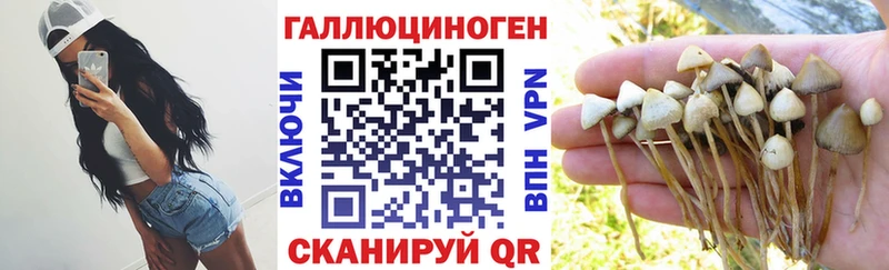 Псилоцибиновые грибы ЛСД  Купить где  Елизово 
